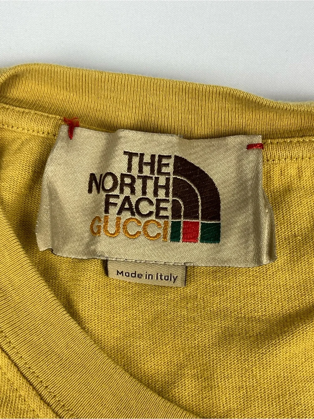 The North Face gucci north